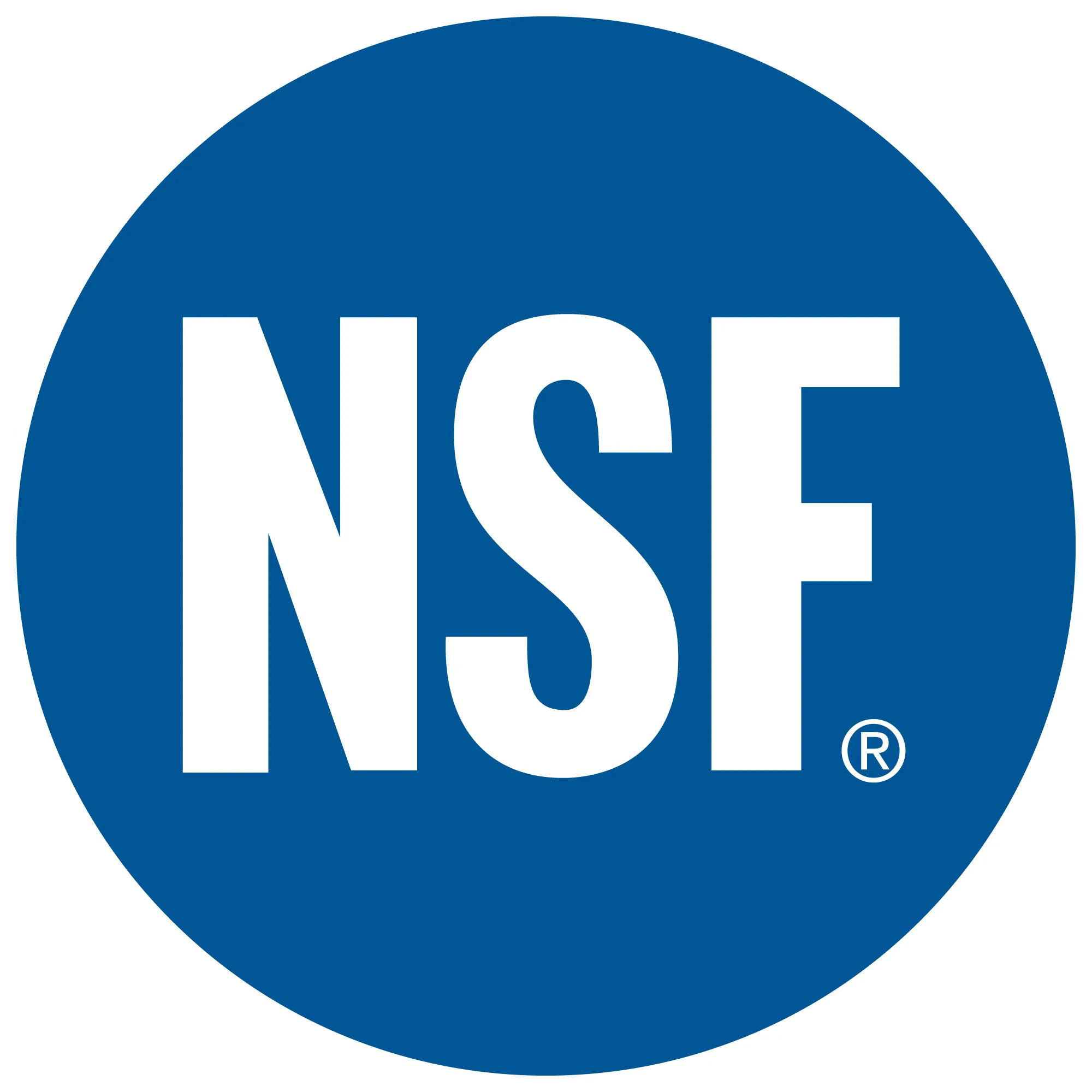 nsf_logo_blue 21